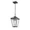 Z-Lite Talbot 1 Light Outdoor Chain Mount Ceiling Fixture, Oil Rubbed Bronze And Seedy 579CHM-ORB - alternate 4